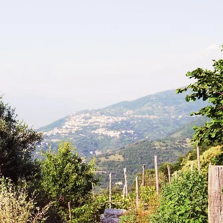 Ferienhaus Madre Terra