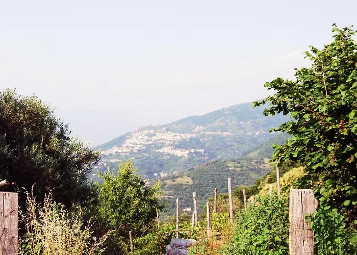 Dom wakacyjny Madre Terra